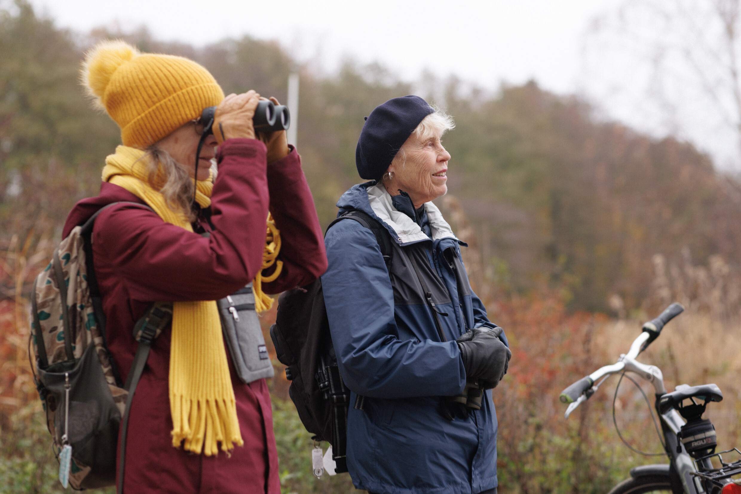 Kuvituskuva. Kaksi lintuharrastajaa.