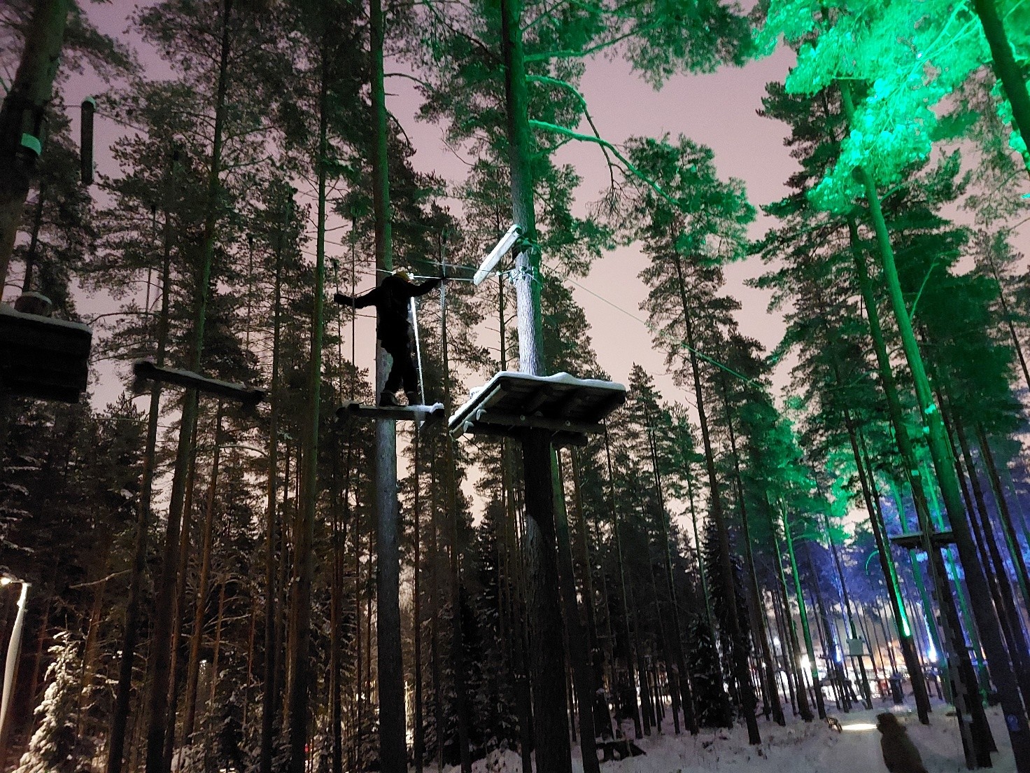 Kuvituskuva. Asiakas kiipeilypuistossa.