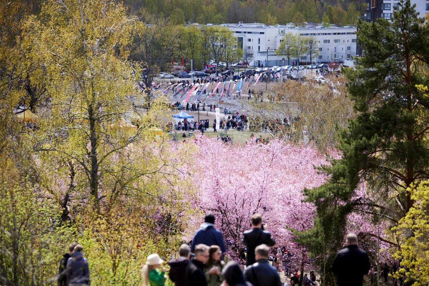 Keväinen puisto.