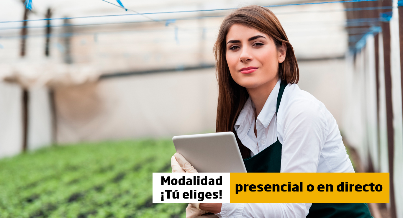 Comenzamos el 29 de septiembre