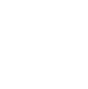 Icono inspección