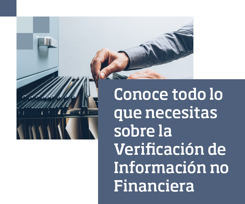 Conoce todo lo que necesitas sobre la Verificación de Información no Financiera