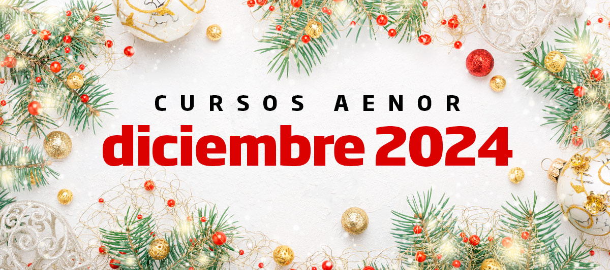 Diciembre 2024