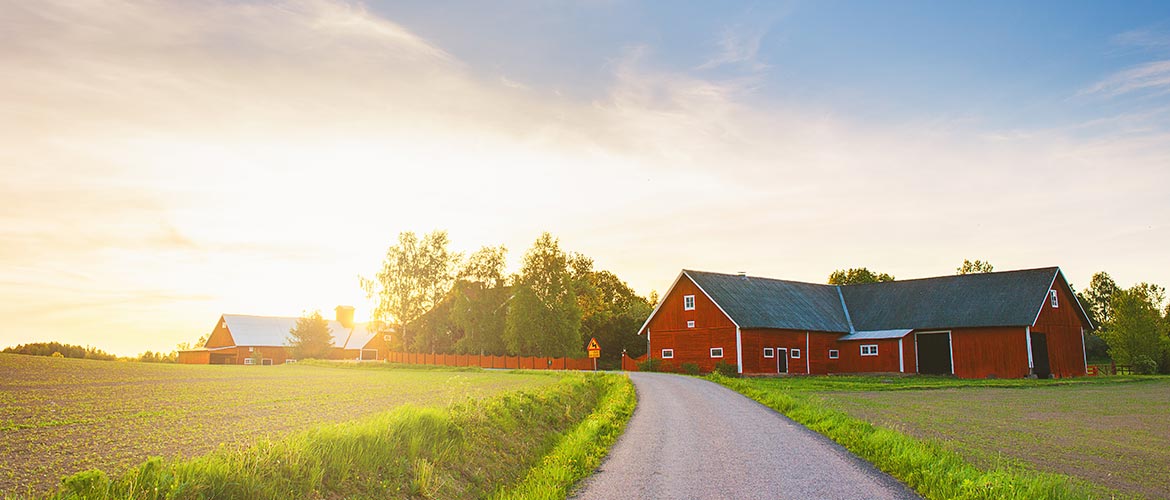 roter Bauernhof steht zwischen Felder und im Hintergrund geht die Sonne auf 
