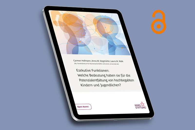 Cover der Publikation zu den Exekutiven Funktionen