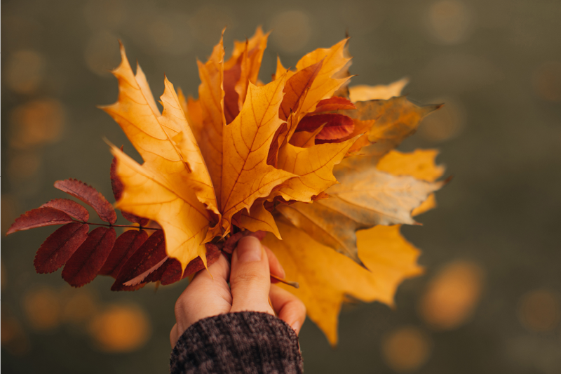 Eine Frauenhand hält einen Strauß bunter Herbstblätter in der Hand