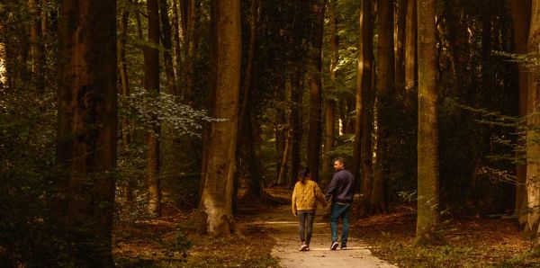 Paar in Wald