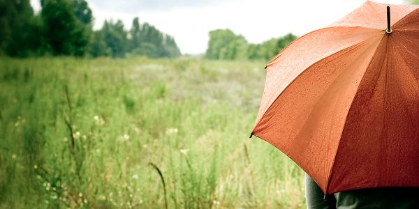 Person steht mit offenem Schirm vor Wiese