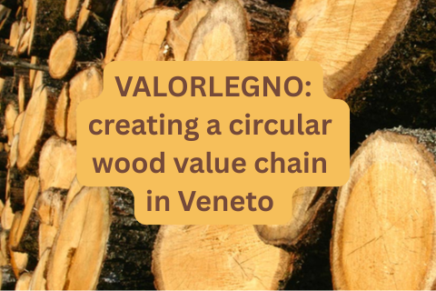 VALORLEGNO: creating a circular wood value chain in Veneto
