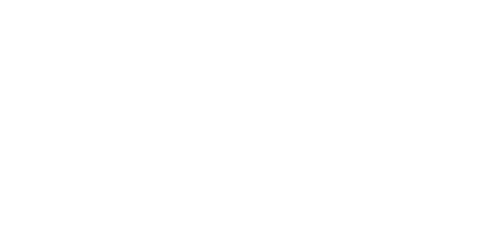 Logo AINIA Network