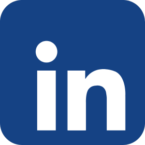 LinkedIn Italsan