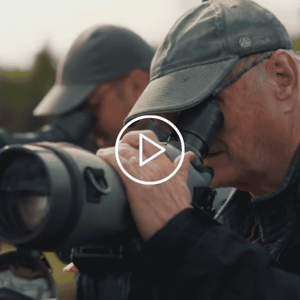 Länk till Öviks energis video om Norrflossamon