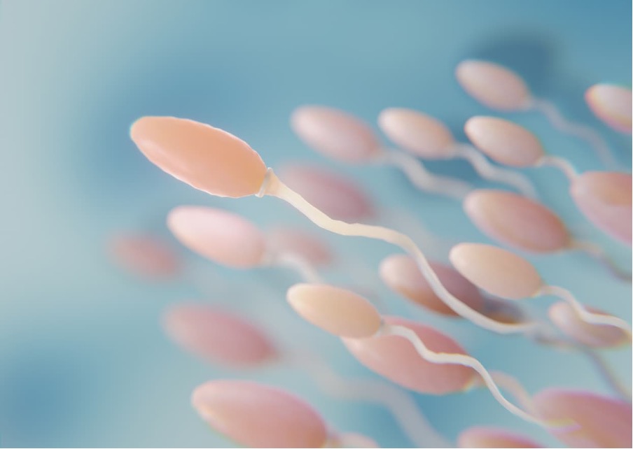 imagen de espermatozoides desde microscopio