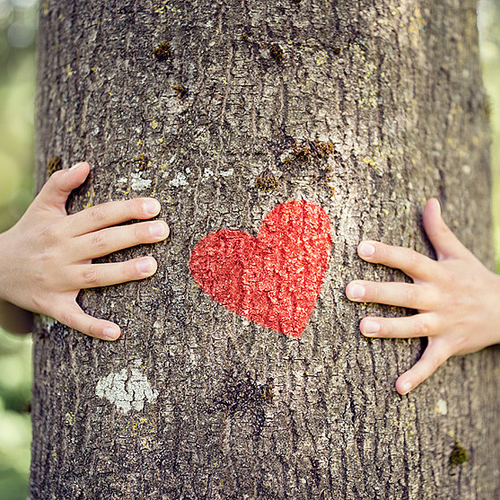 Person, die einen Baum umarmt, das ein Herz darauf hat