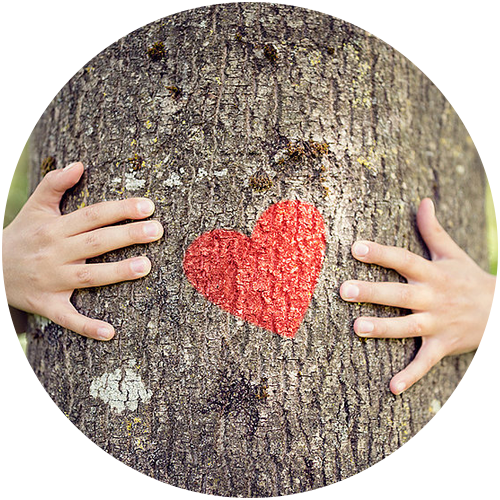 Person, die einen Baum mit einem roten Herz umarmt