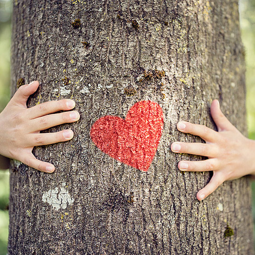 Baum mit Herz