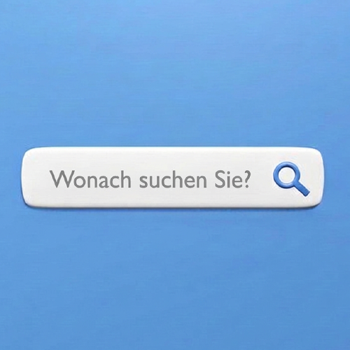 Suchfenster auf einer Website