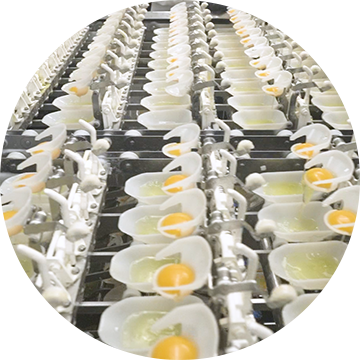 Egg processing solutions
