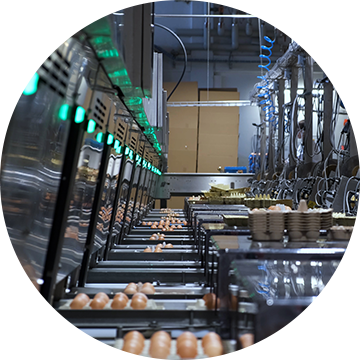 Egg grading solutions