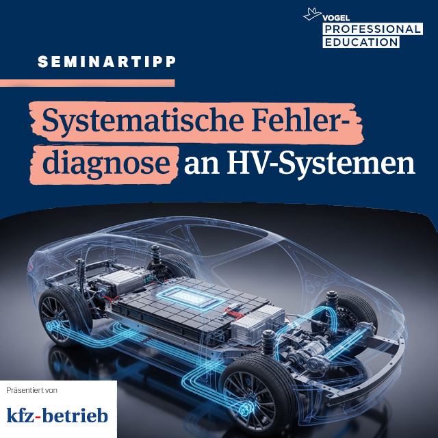 Seminar: Systematische Fehlerdiagnose an HV‑Systemen