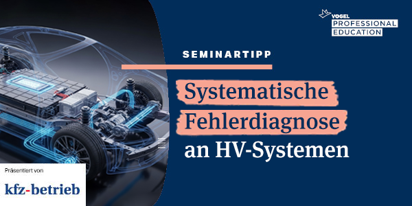Seminar: Systematische Fehlerdiagnose an HV‑Systemen