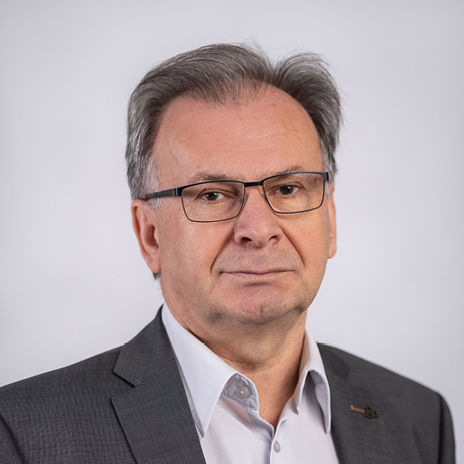Prof. Dr. Esad Osmancevic