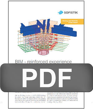 Preview User Report BIM - reinforced experience