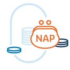 NAP icoon