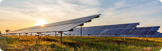 Photovoltaik auf Freiflächen