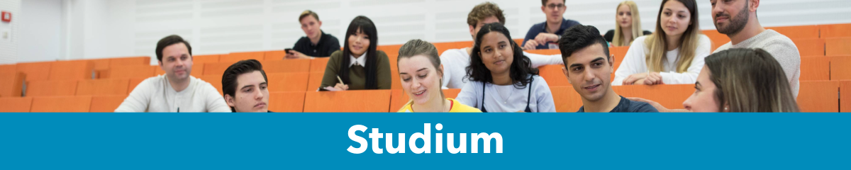 Studium_Kategorie
