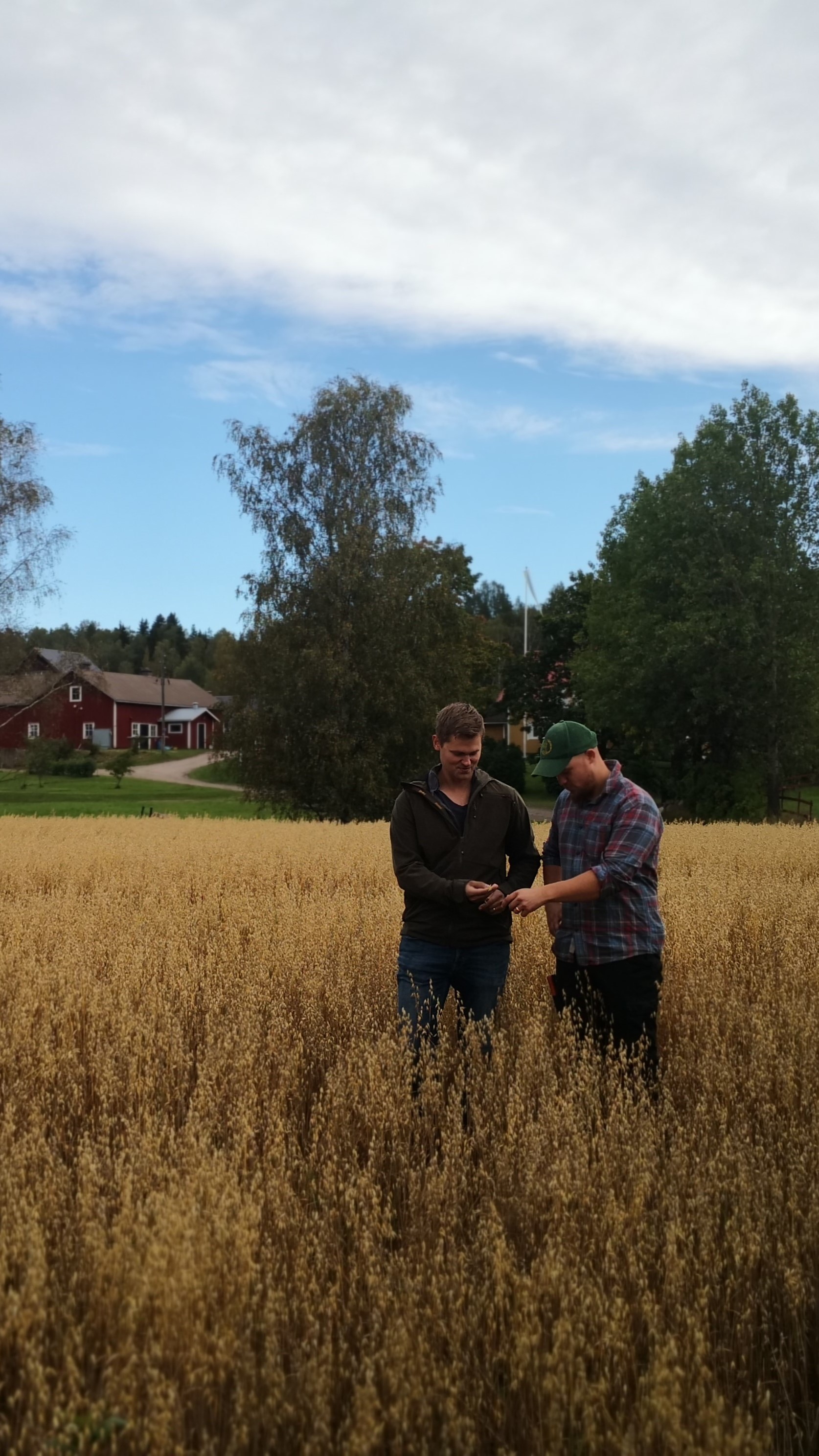 Kaksi ihmistä pellolla.