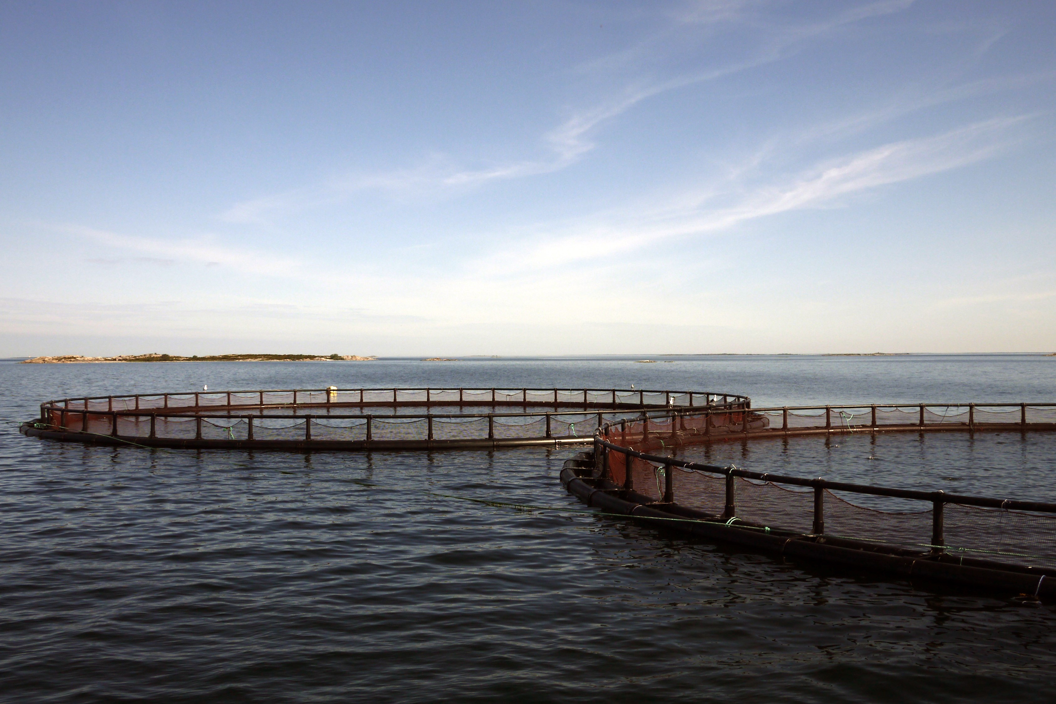 Kelluva kalanviljelylaitos.