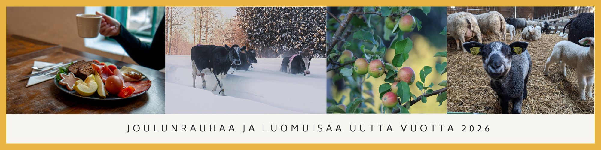 Joulunrauhaa ja luomuisaa uutta vuotta 2026.