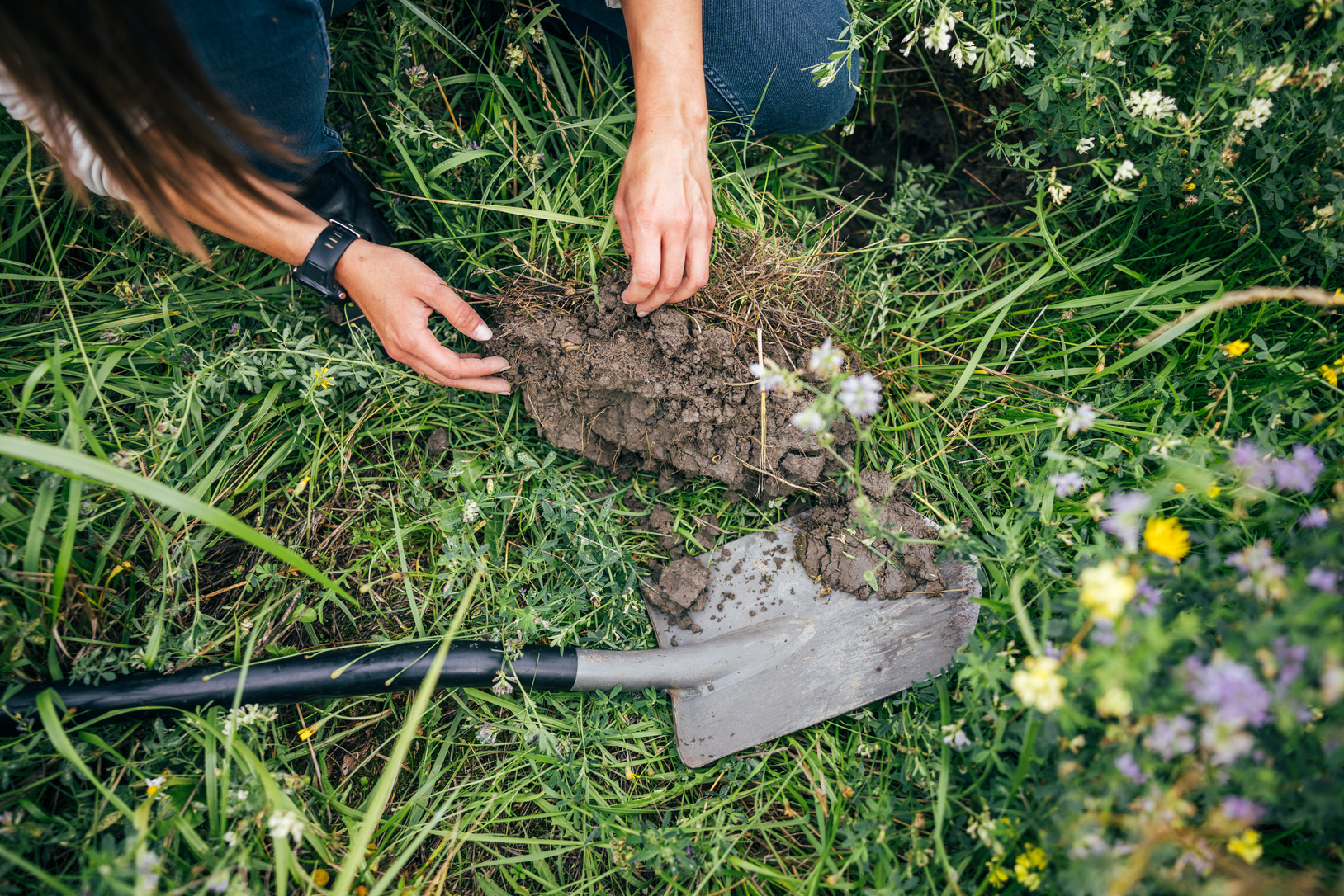Henkilö nostamassa multapaakkua ruohikosta lapion vieressä.