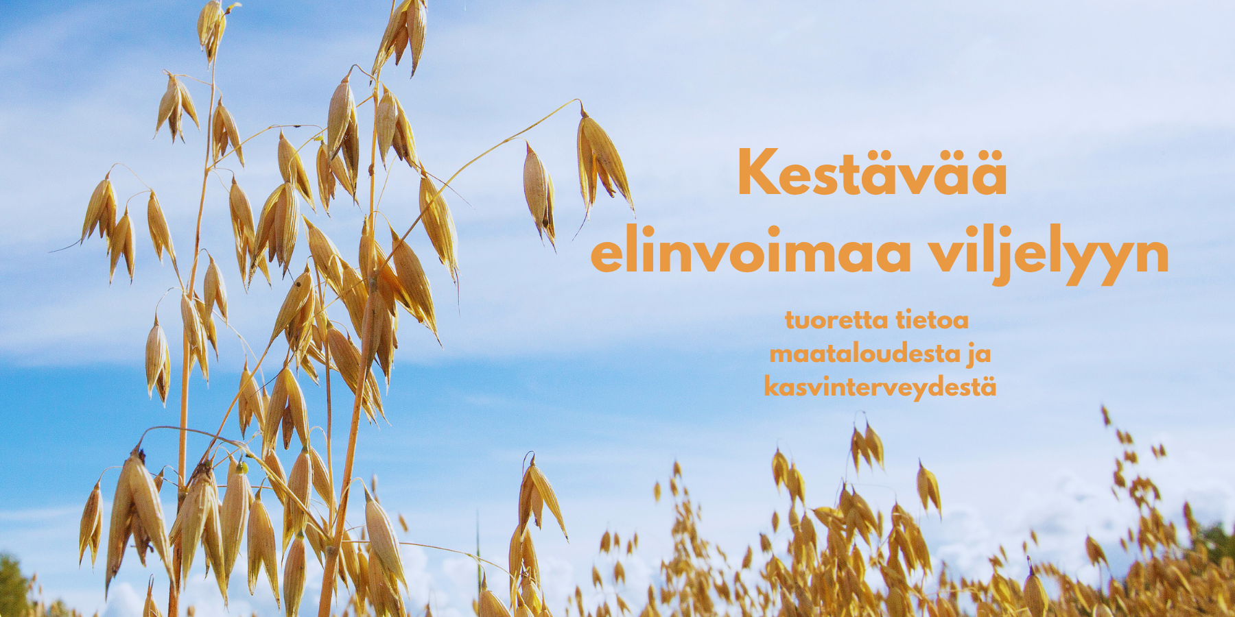 Kestävää elinvoimaa viljelyyn.