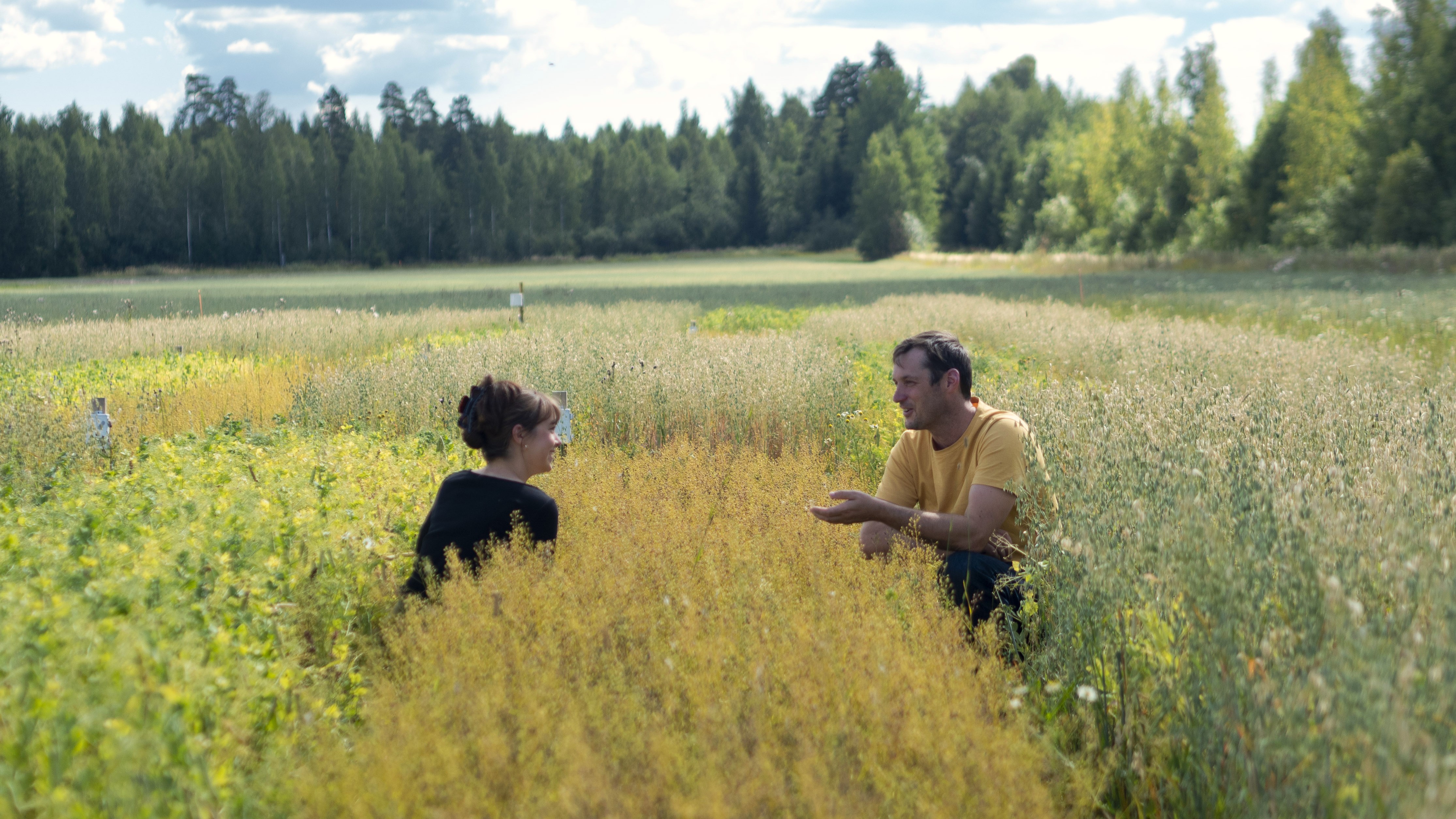 Kaksi henkilöä istumassa pellolla.