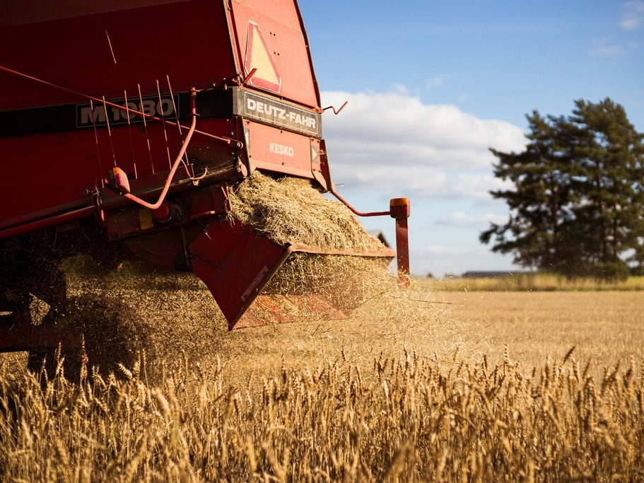 Combine harvester on a field with one tree in the background