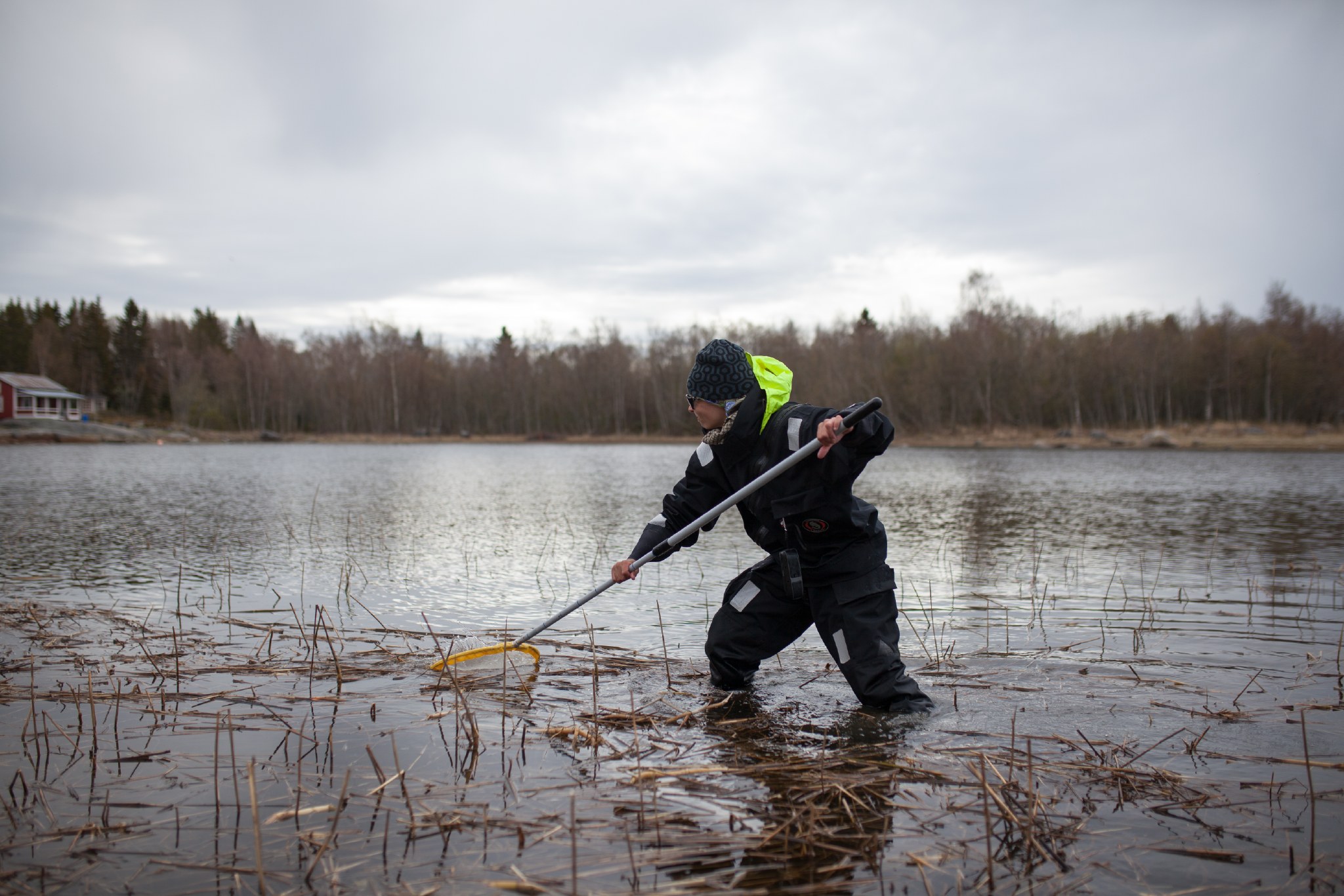Henkilö kahlaamassa vedessä haavin kanssa.