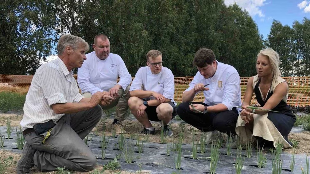 Viisi henkilöä kyykistymässä kasvien yllä.
