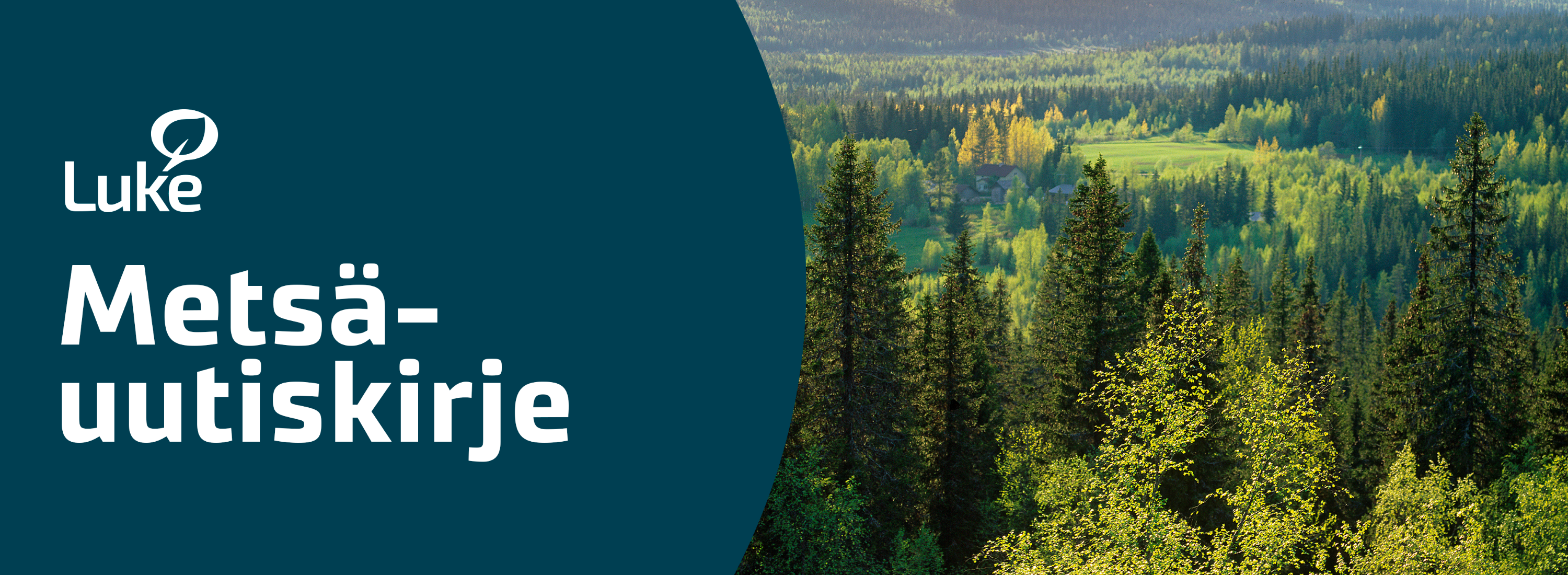 Luken Metsä-uutiskirje