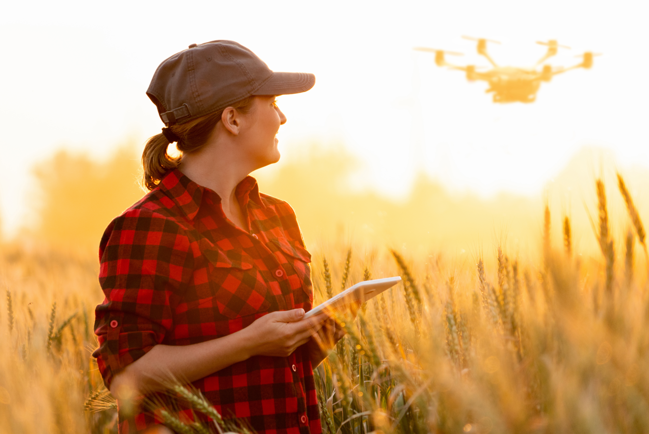 Henkilö lennättää dronea pellolla