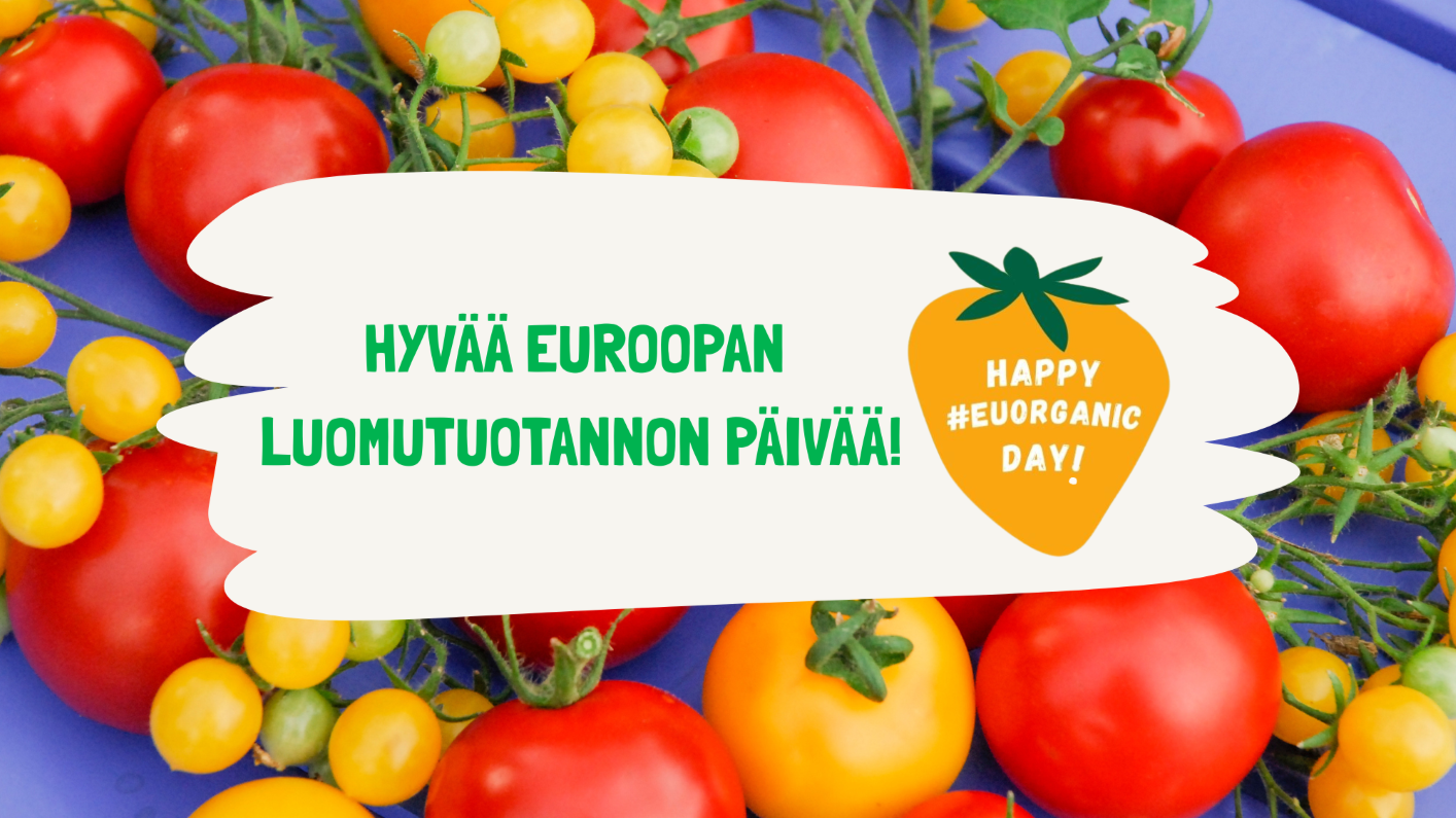 Punaisia ja keltaisia tomaatteja sekä hyvää Euroopan luomutuotannon päivää teksti.