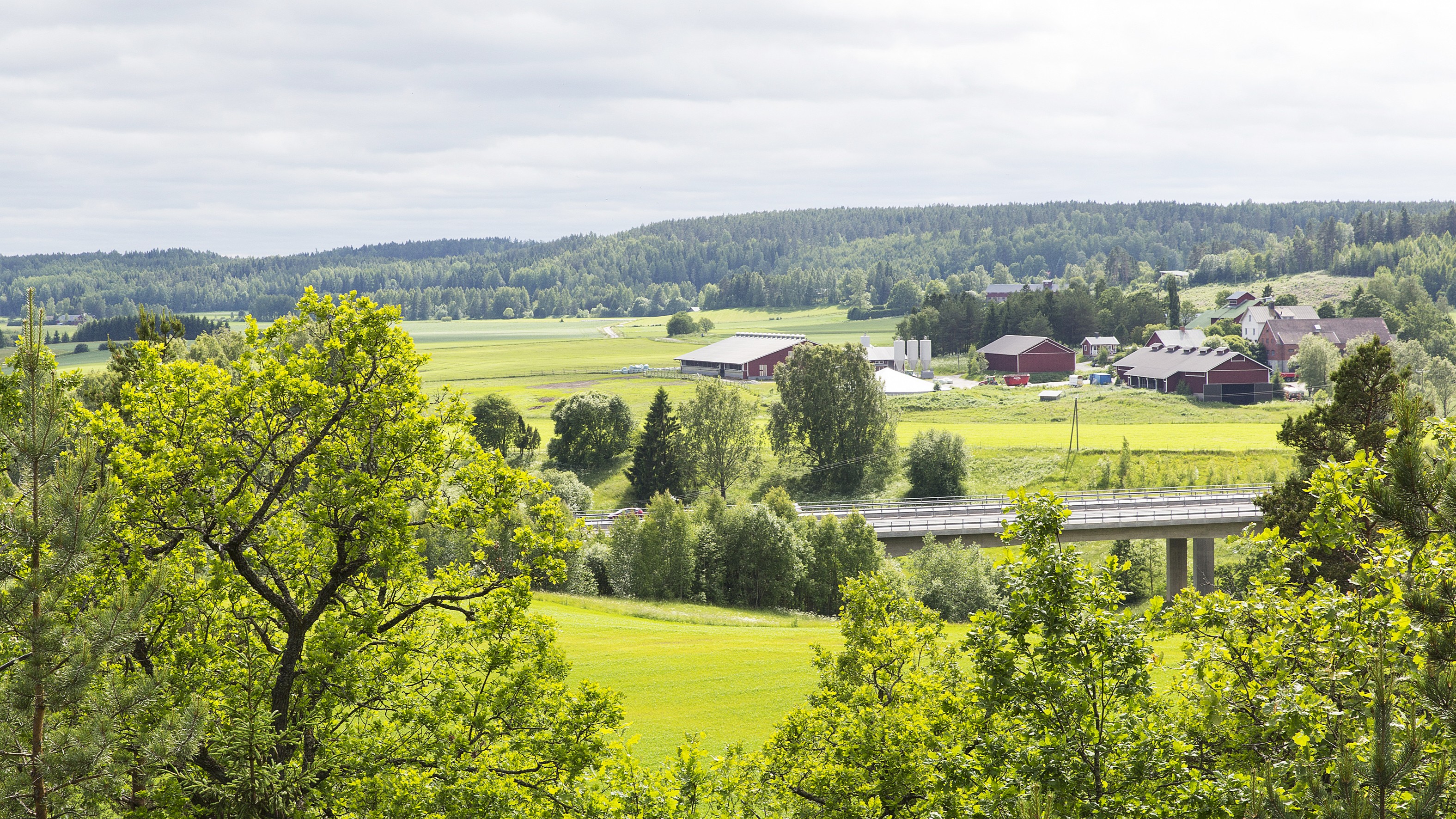Maisema, jossa peltoja, puita, silta ja maatilan rakennuksia.