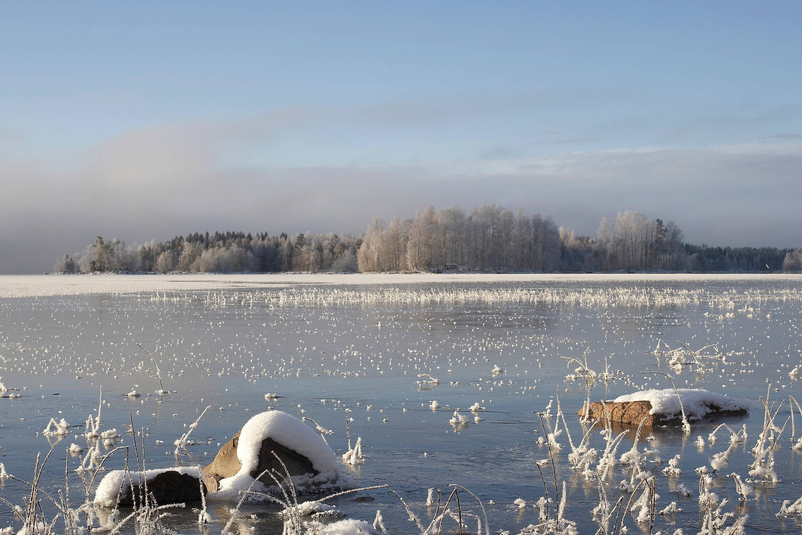Talvinen järvimaisema