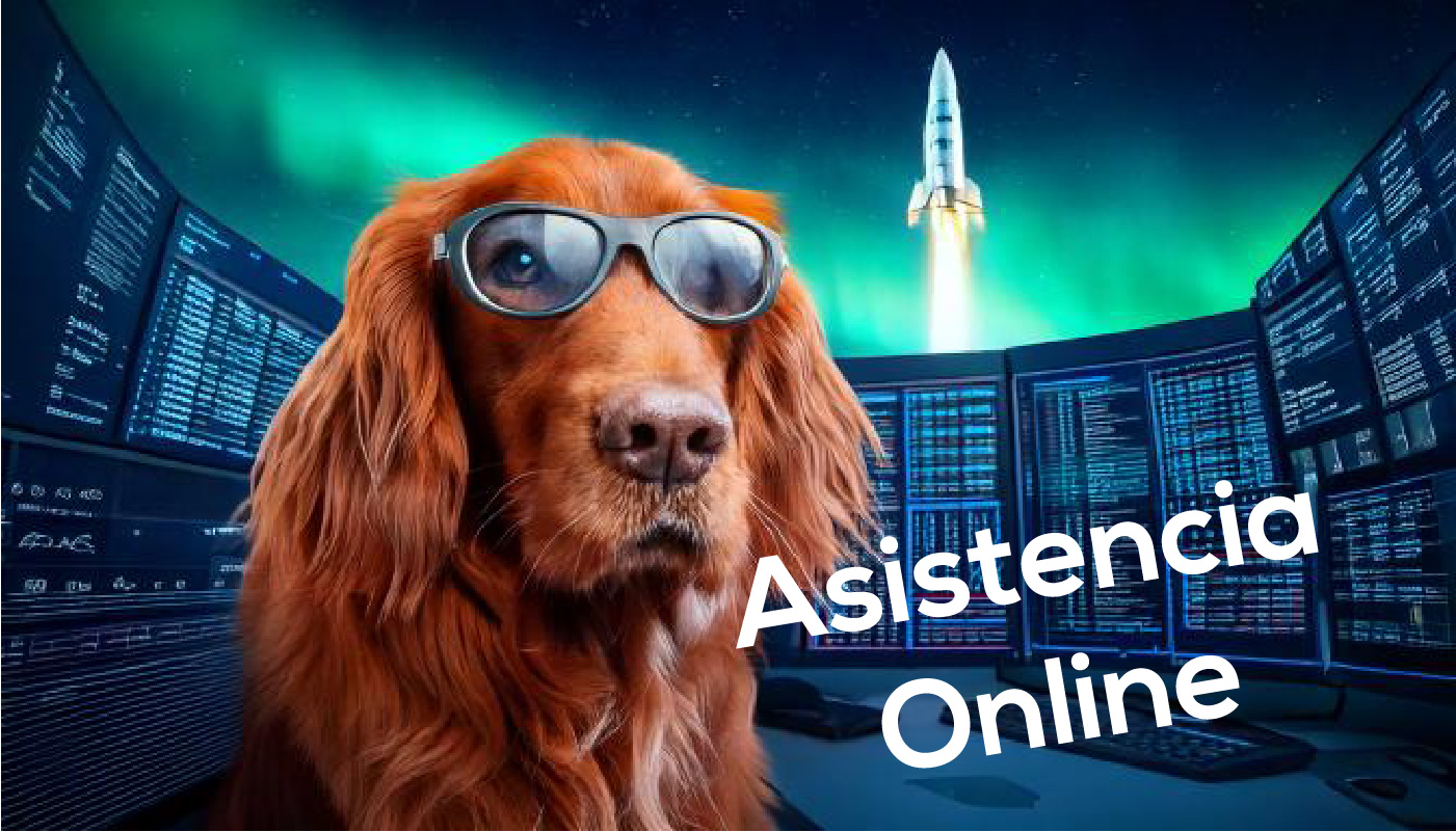 Asistencia Online INTELIGENCIA ARTIFICIAL: ENTRENAMIENTO DE MODELOS. Asistencia Online