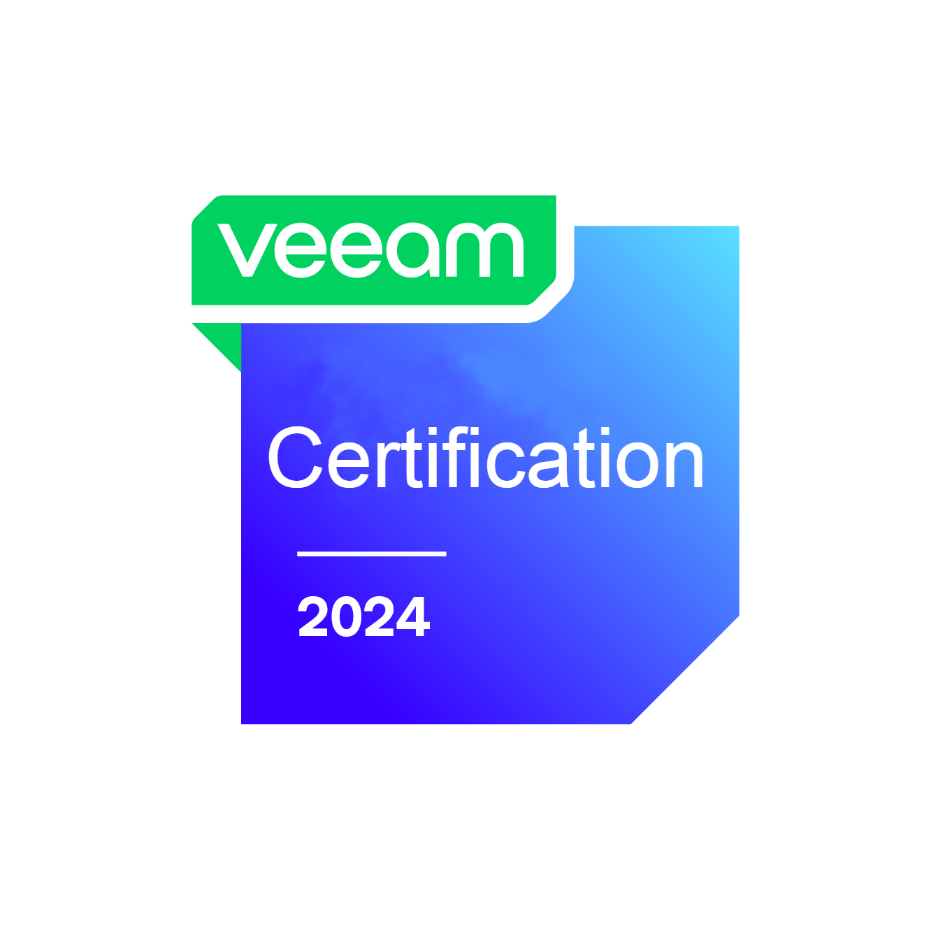 WEBINAR/CERTIFICACIÓN: Veeam Sales Professional (VMSP)