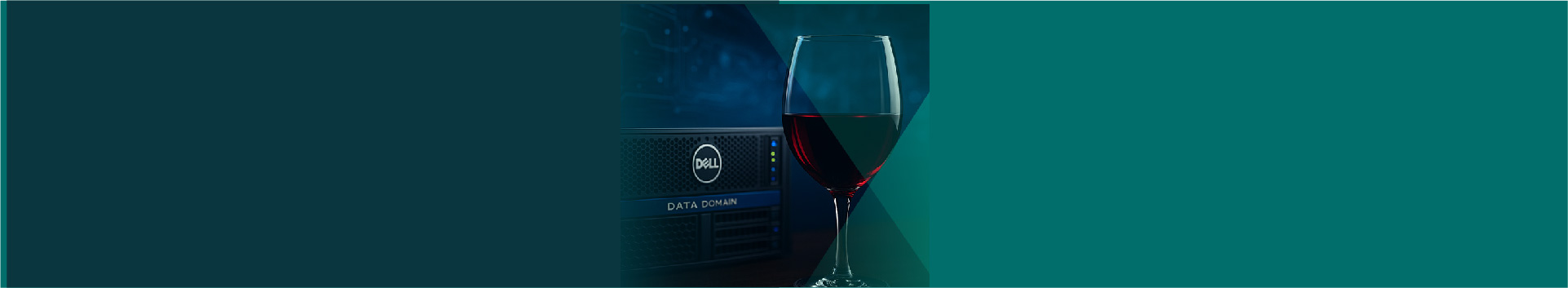 Data Domain & APEX: Dos pilares para acelerar tu negocio