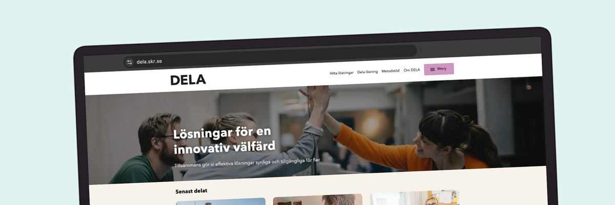 Skärmbild från dela.skr.se