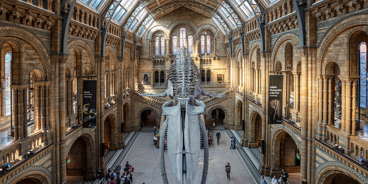 Natural History Museum - What's On In London