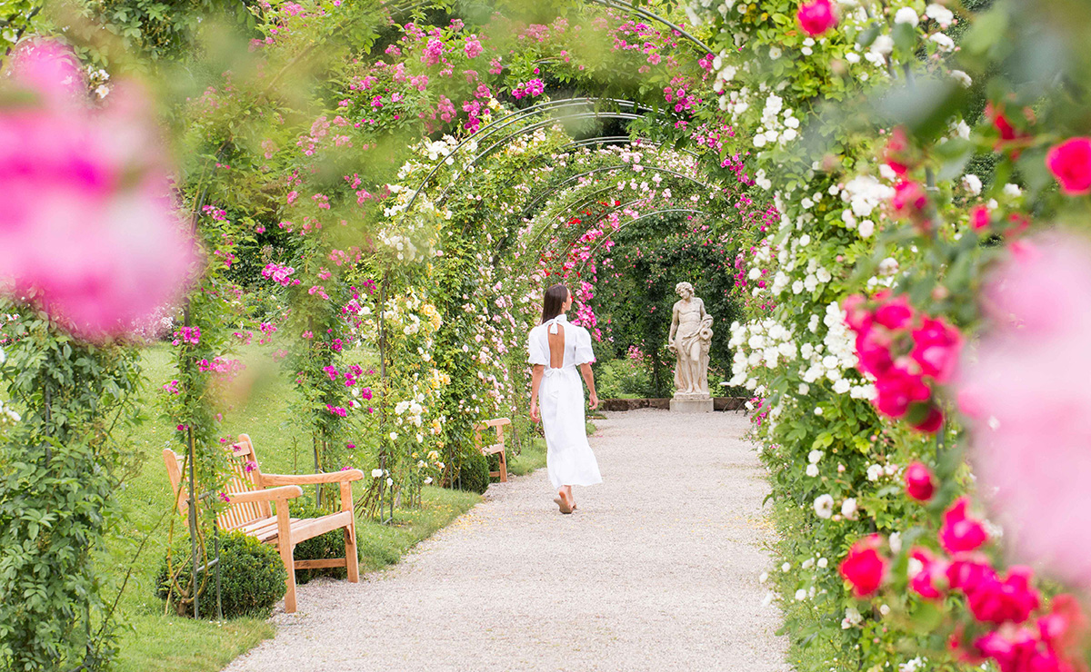 Baden-Baden Rosengarten